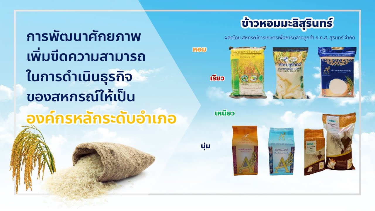 สกต.สุรินทร์ จำกัด พัฒนาศักยภาพการดำเนินธุรกิจ #CPDChampionsProduct #ข้าวหอมมะลิสุรินทร์