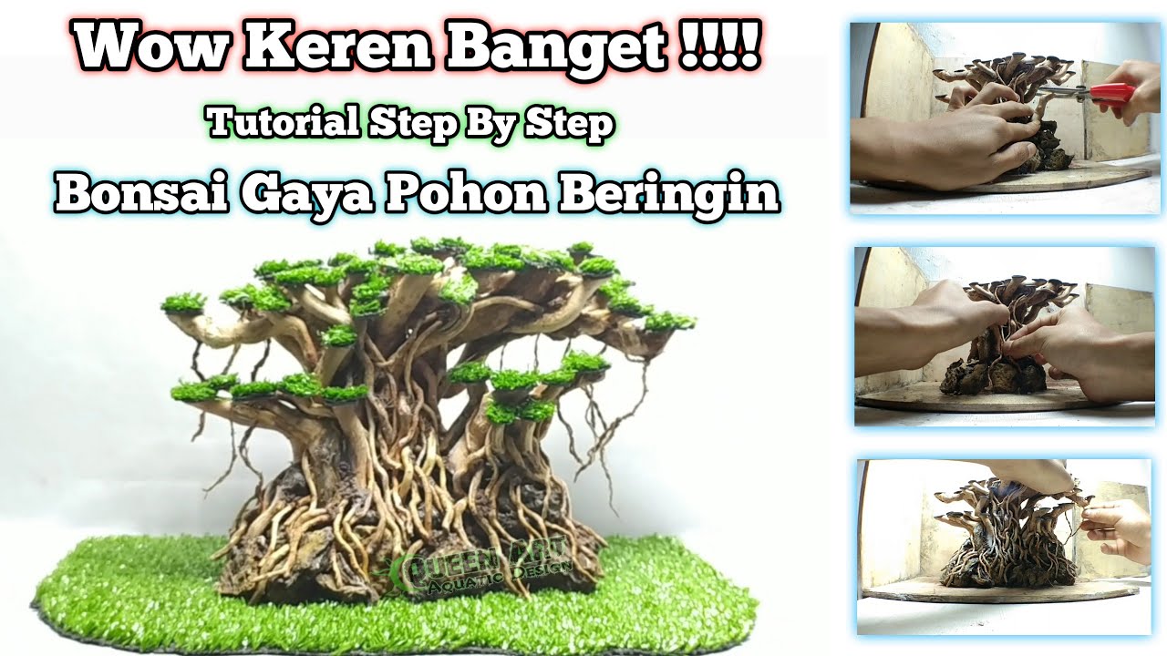 Tutorial Lengkap Membuat Bonsai Aquascape Pohon Beringin