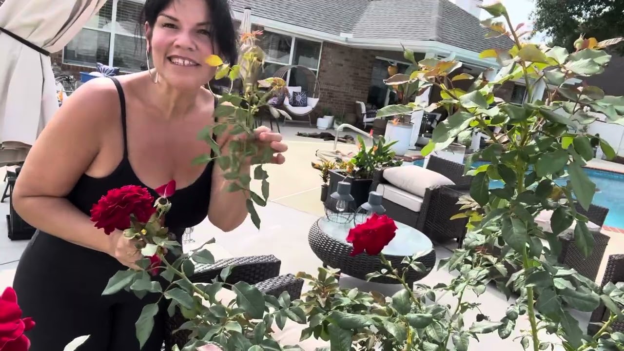 Pruning & Honoring My Mom’s Rosebush | A Red Rose Tribute with a Beautiful Story