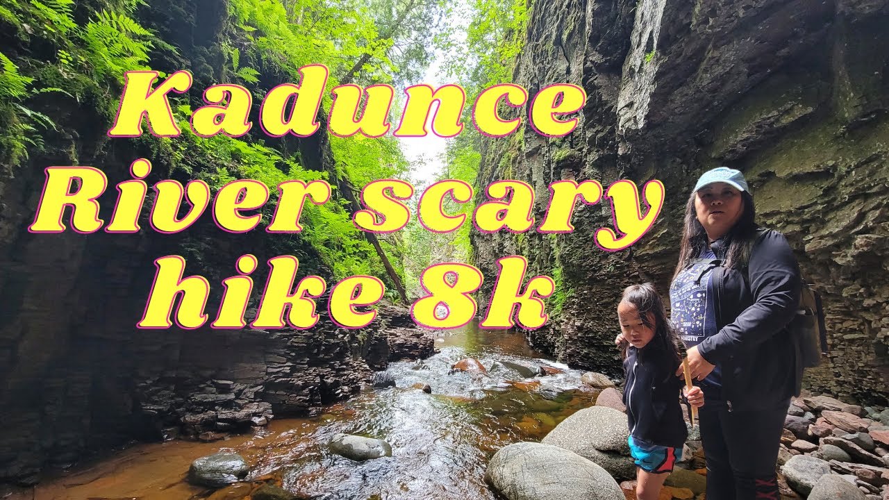 8K Virtual Hike-Kadunce River Hike 2022 (Grand Marais, MN) #hiking #stateparks #Hmongamerica #fyp