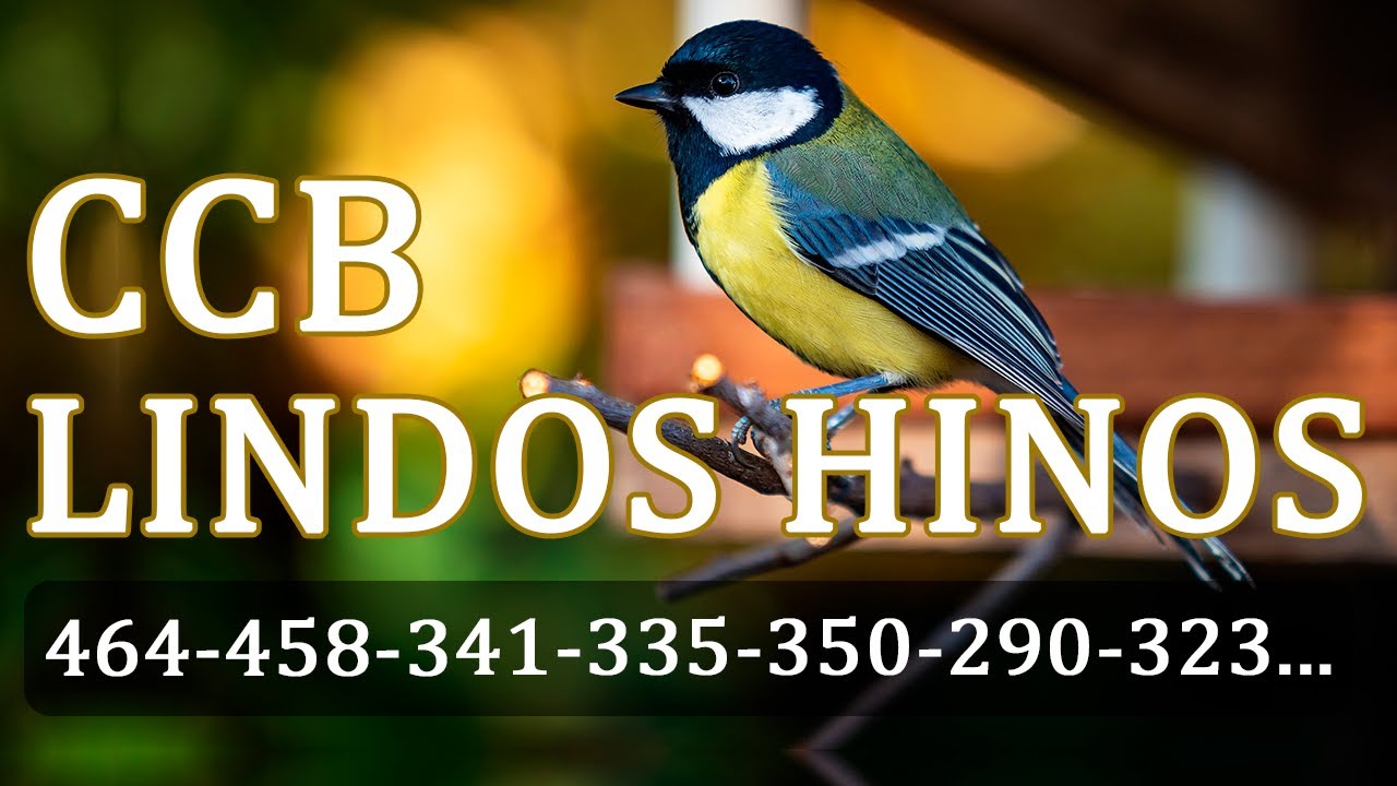 HINO CCB 464 458 341 335 350 290 323 293 362 21