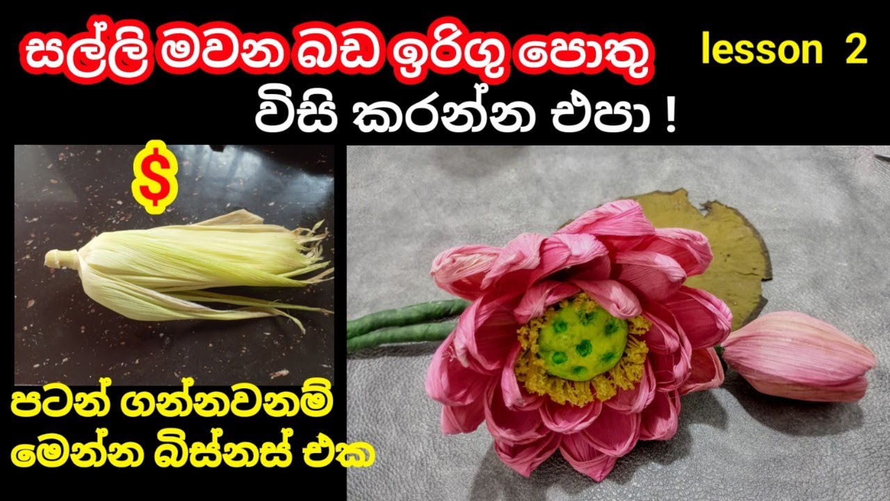 බඩ ඉරිගු පොත්තෙන් ලස්සන නෙලුම් මලක් හදමු