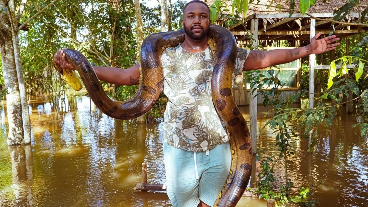 Looking for Anacondas in the Amazon Rainforest Pt 2| Iquitos