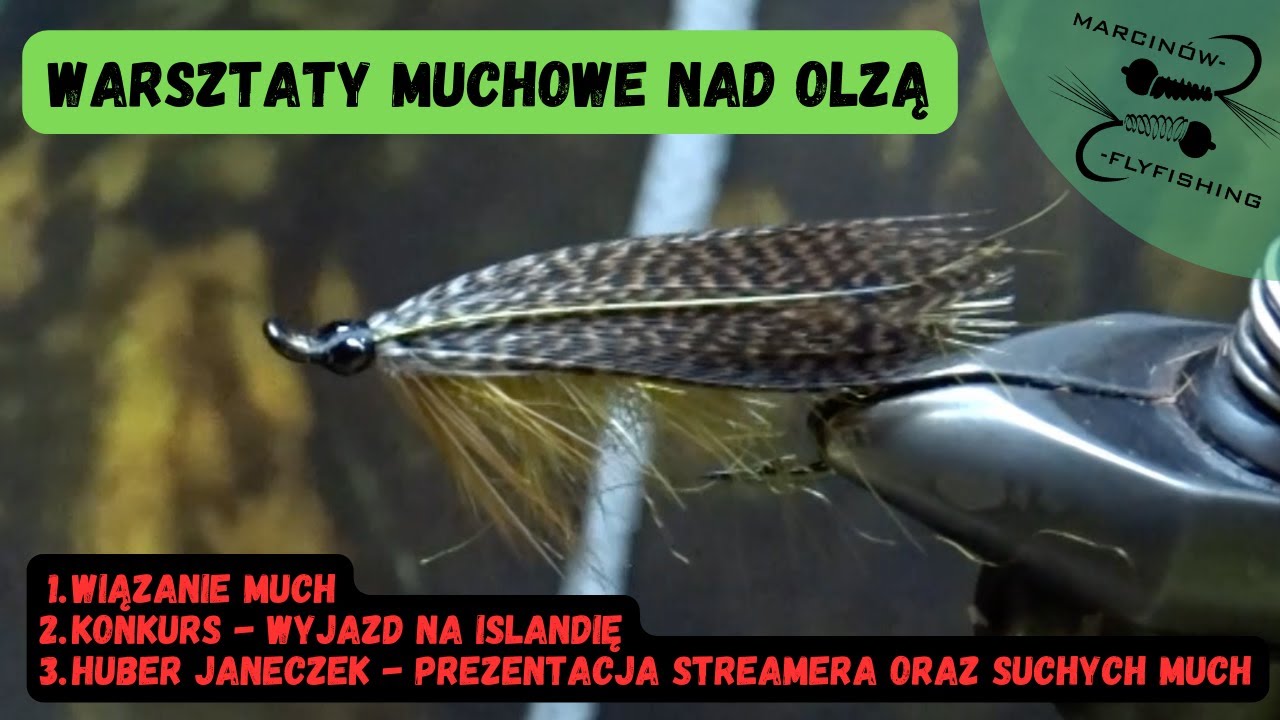 Spotkanie przy imadle nad Olzą | Streamery, mokre muchy, suche muchy, nimfy