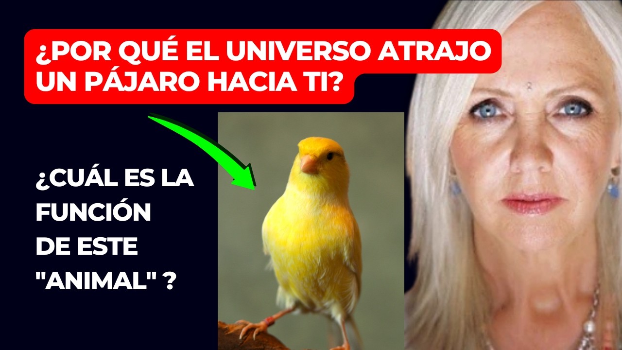 ¿Por Qué el Universo Te Regala un Pájaro? Descubre Su Significado Espiritual