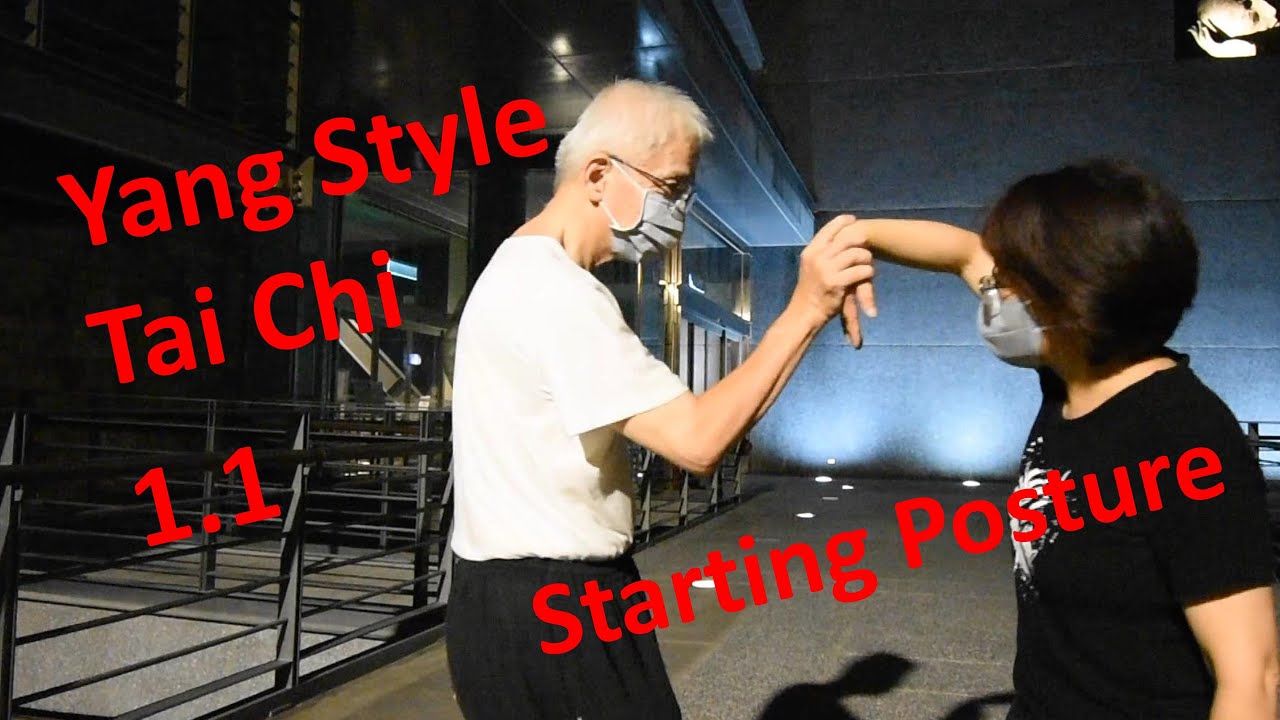 Yang Style Tai Chi Chuan 1.1 Starting Posture  #lesson #teching #course #application