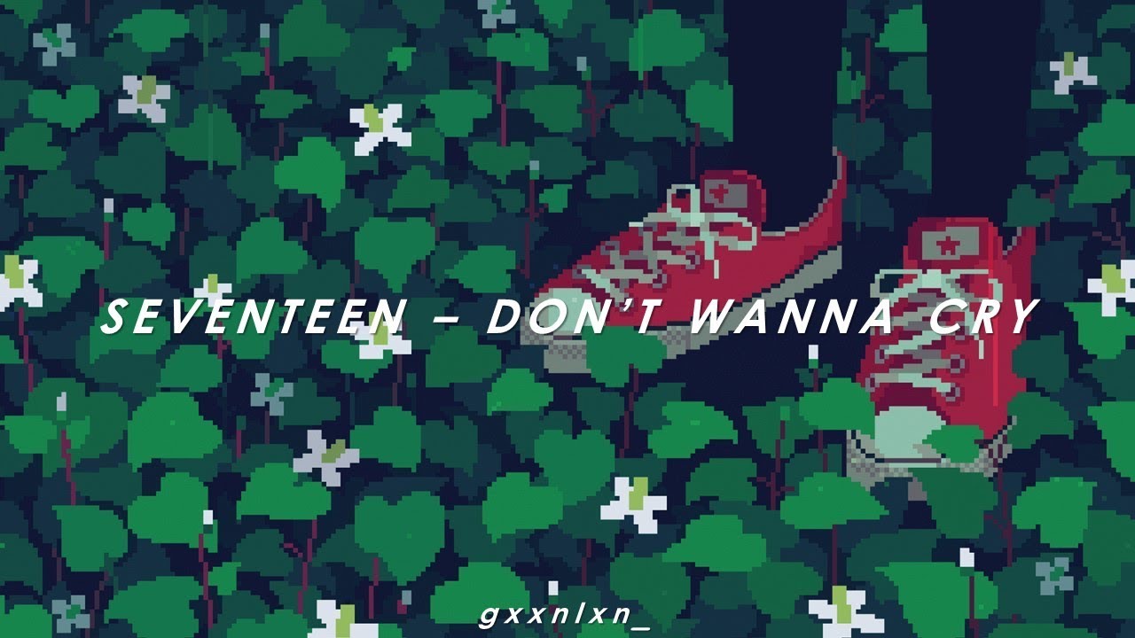 [INDO SUB] SEVENTEEN - DON'T WANNA CRY