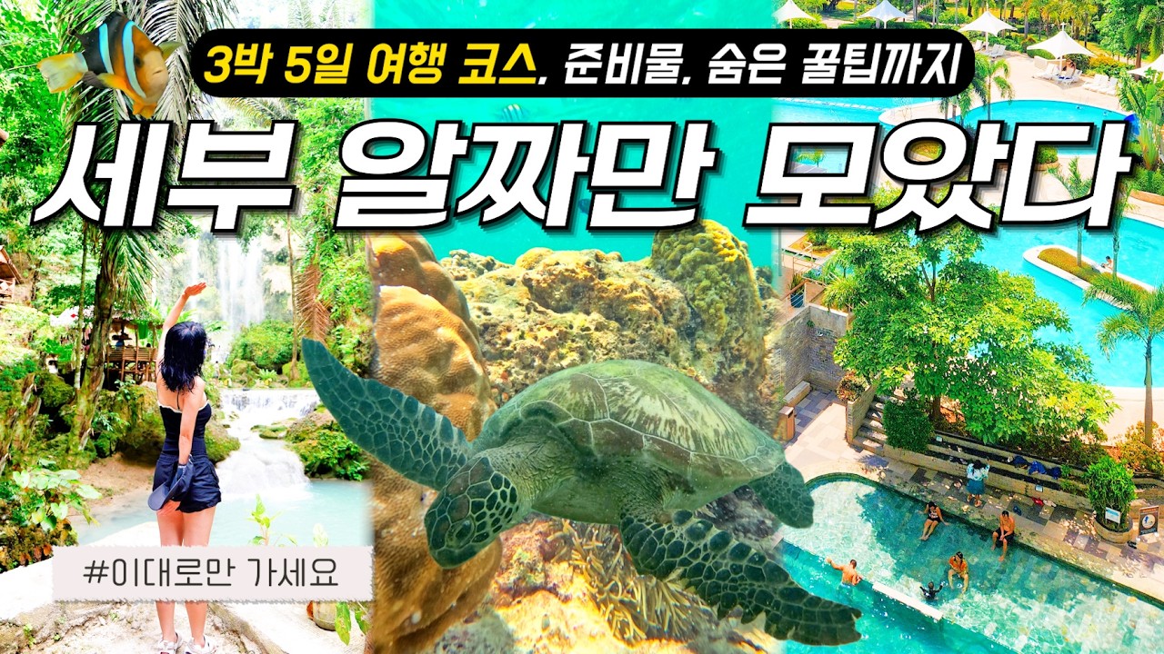 필리핀 세부 여행 이렇게 가세요 🇵🇭  3박 5일 코스, 준비물, 경비, 꿀팁 : 오슬롭 고래상어, 캐녀닝, 모알보알 호핑 투어, 세부시티 w. 세친구투어 Travel vlog