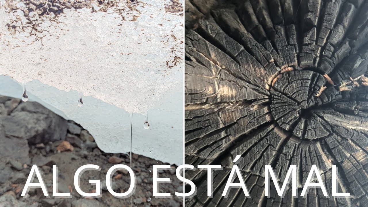 Año Nuevo en la montaña... No esperábamos esto!
