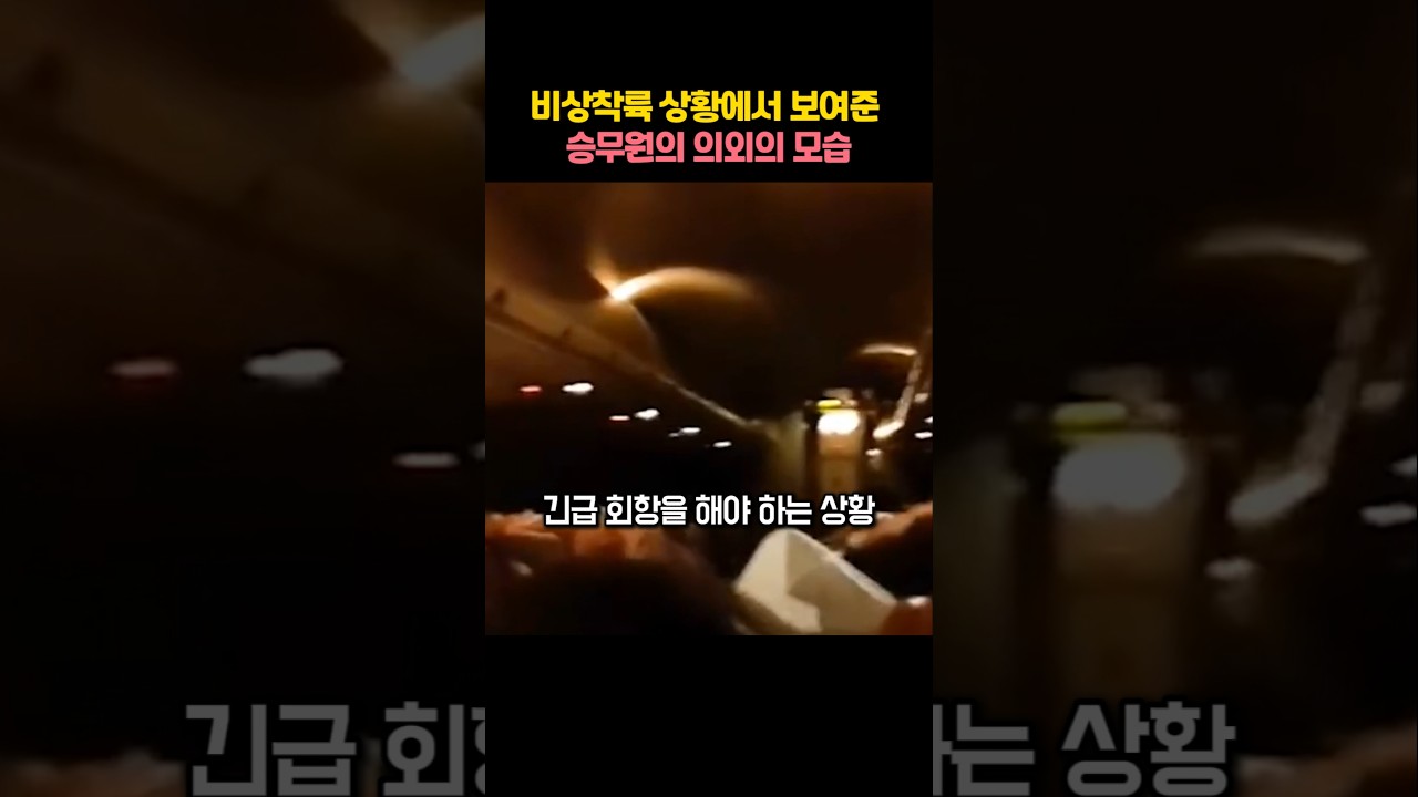 비상착륙 상황에서 보여준 승무원의 의외의 모습