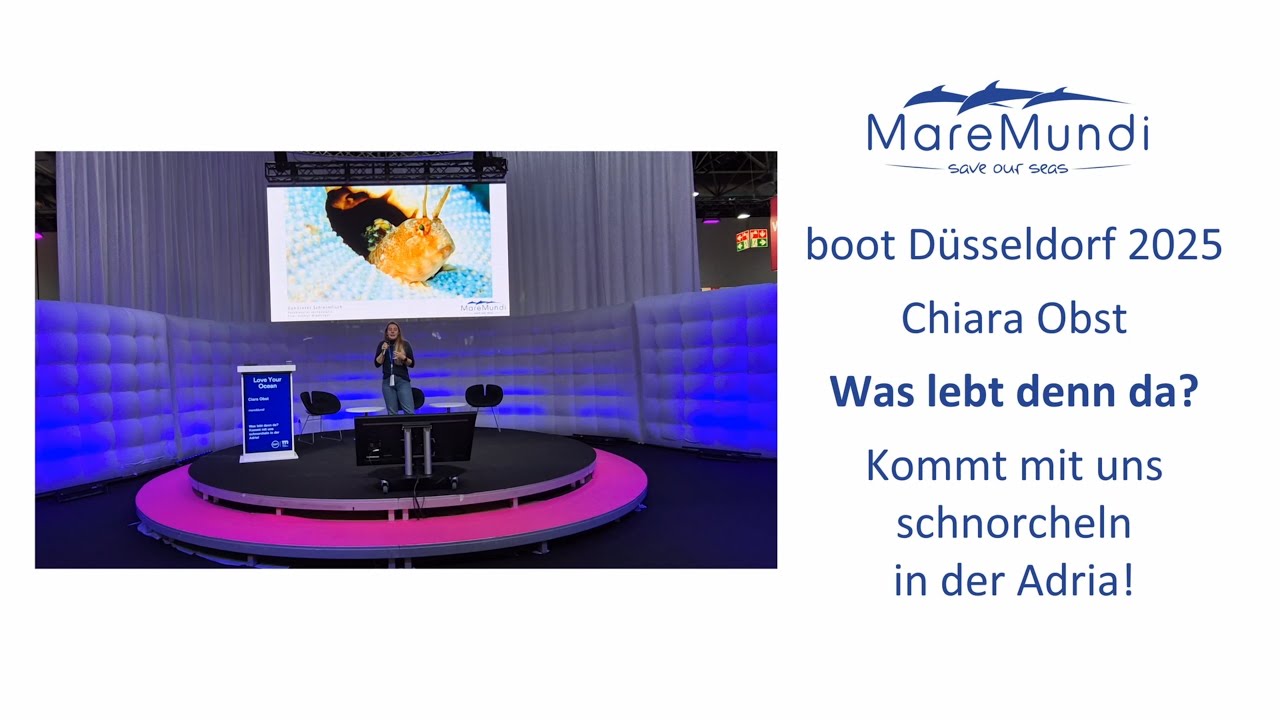 boot Düsseldorf 2025: Was lebt denn da? Kommt mit uns schnorcheln in der Adria! von Ciara Obst