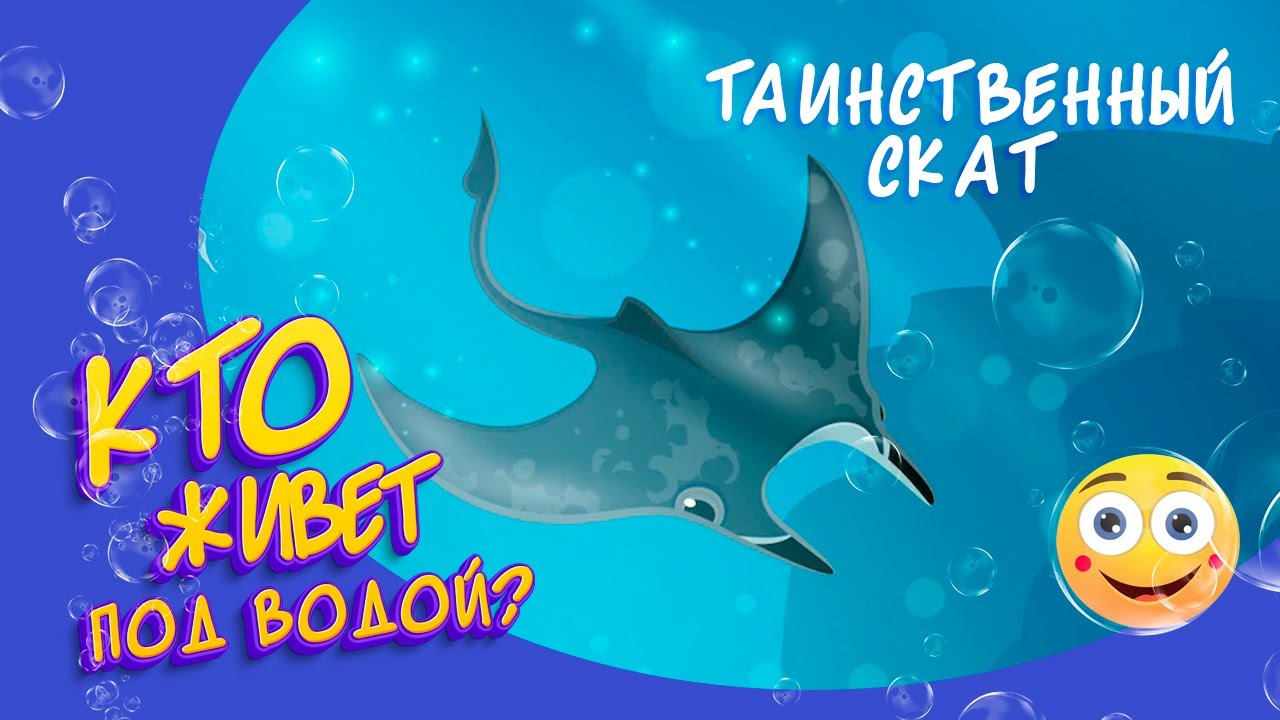 Таинственный скат. Открой тайны океана