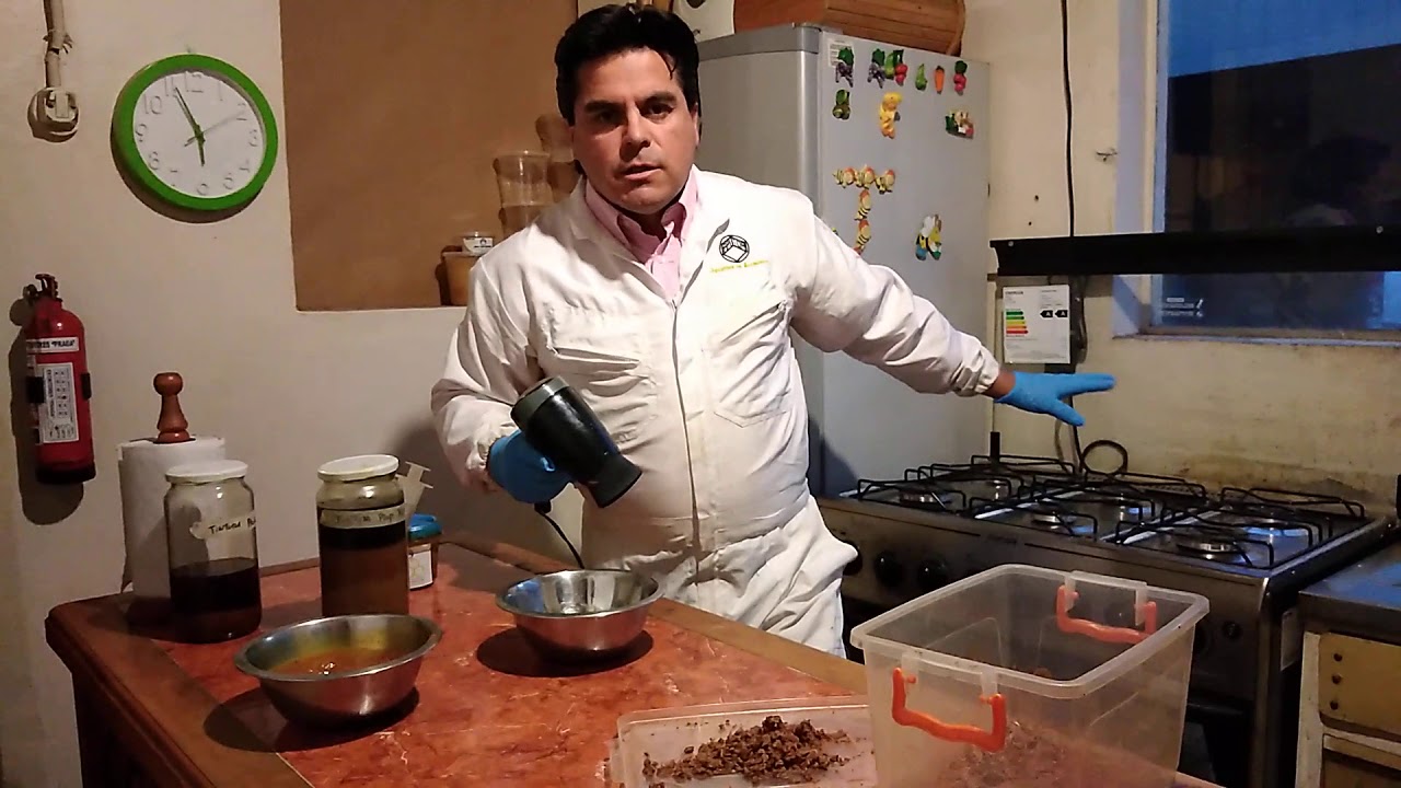 Extracto blando de propóleos