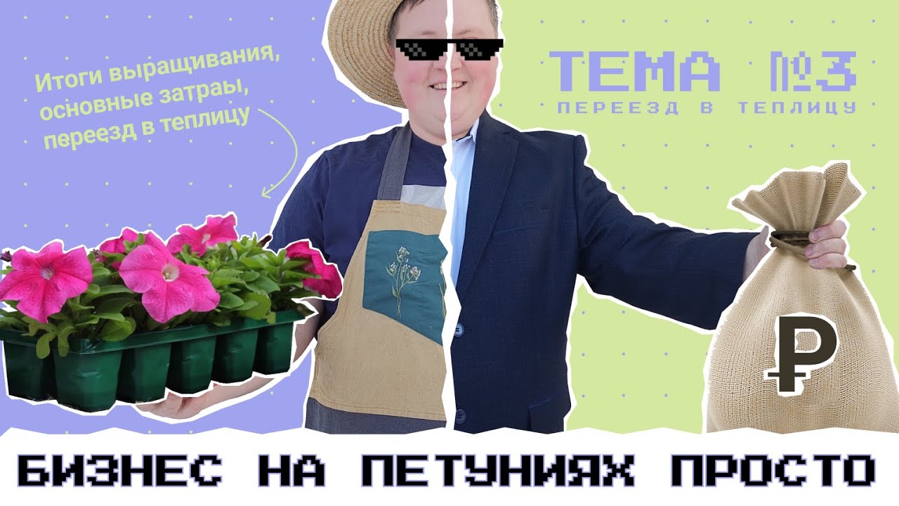 ПЕРЕЕЗД В ТЕПЛИЦУ ТЕМА №3 | БИЗНЕС НА ПЕТУНИЯХ ПРОСТО | БОРИС БОРИСОВ