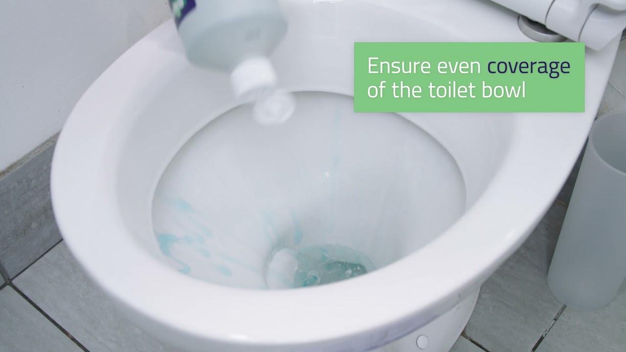 Urinal and Toilet Cleaner