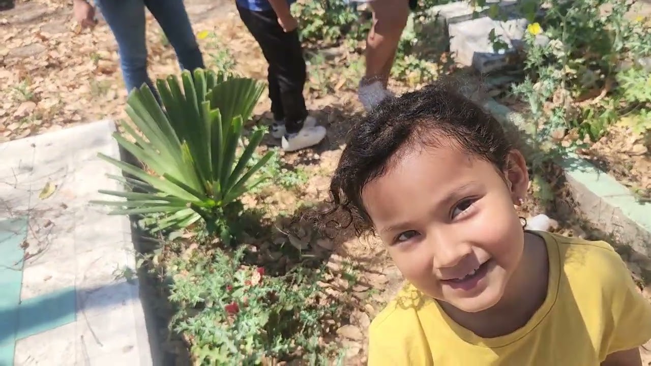 Fuimos a visitar el cementerio  donde descansa mi mama