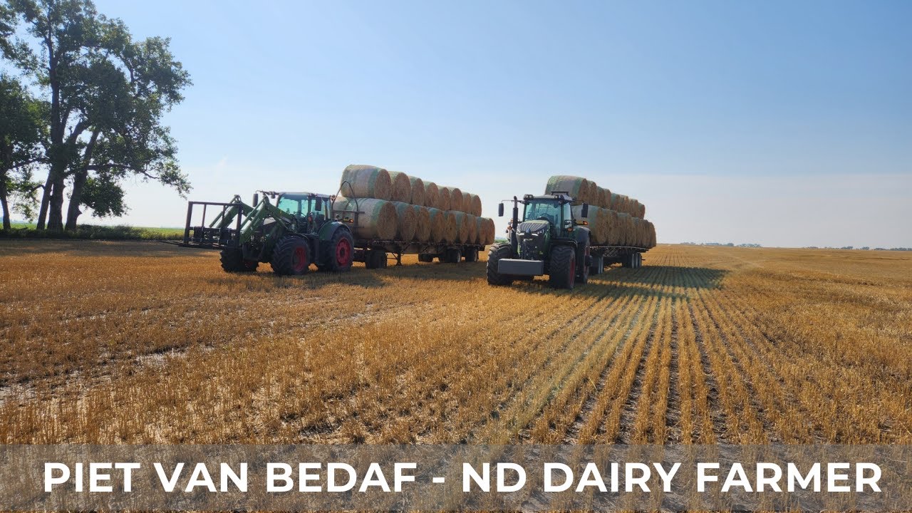 Stacking and Hauling Straw Bales (104)