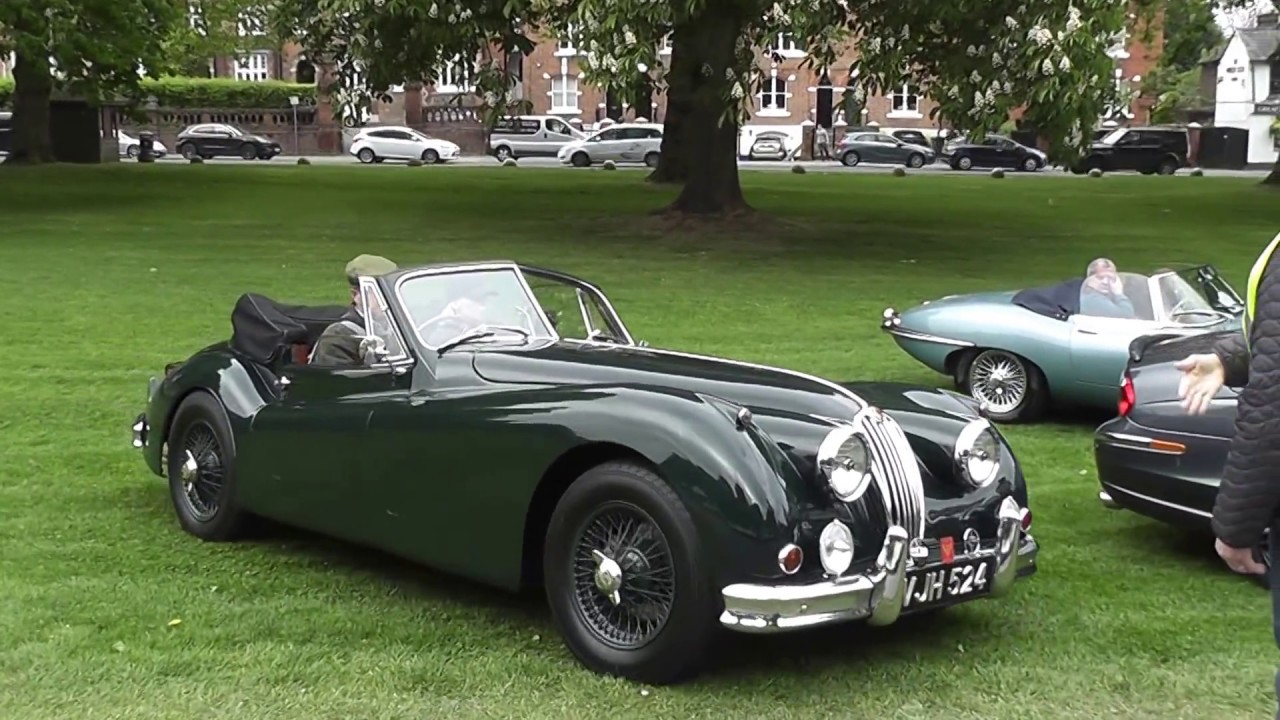 Jaguar XK120 various examples at The Royal Windsor Jaguar Festival