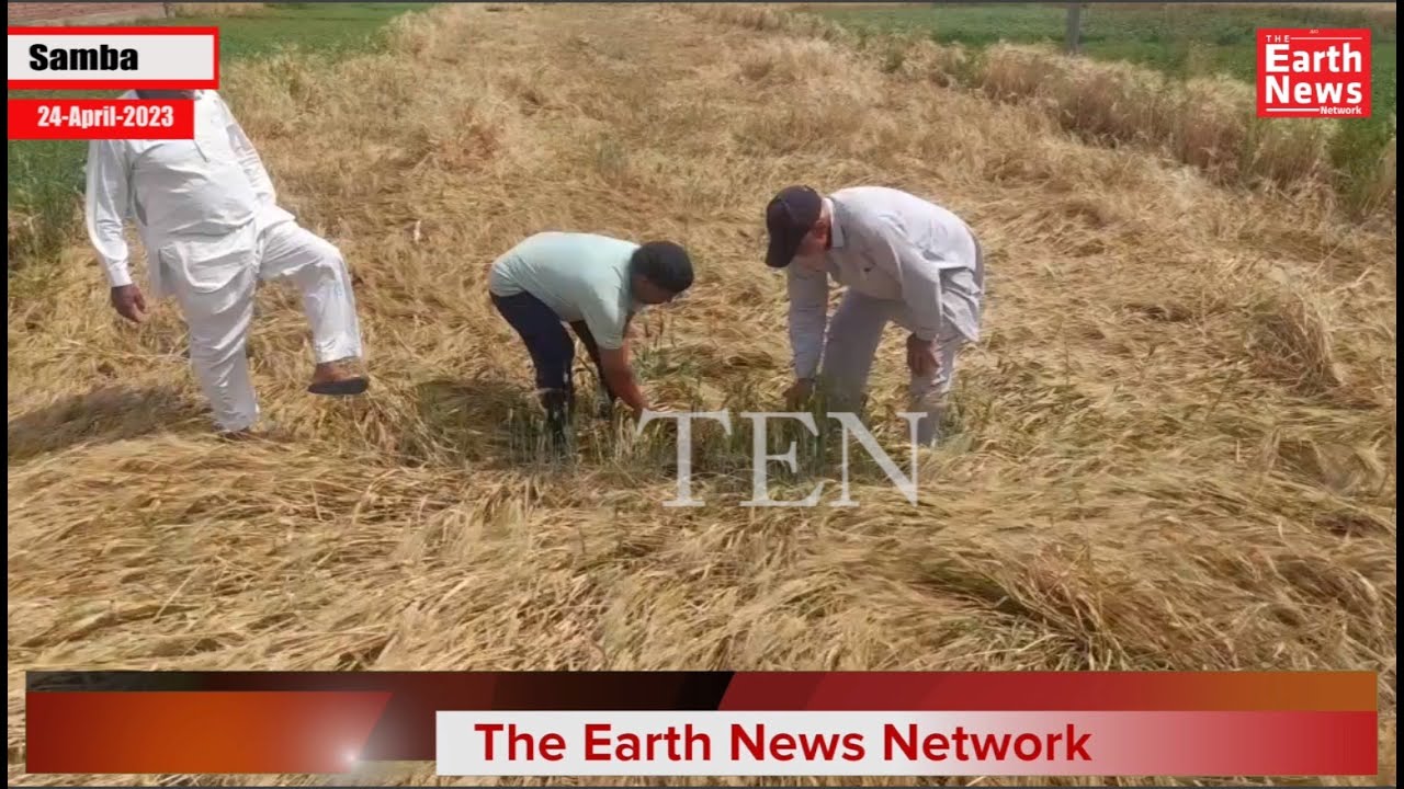 Farmers of Ramgarh sector demands compensation of Crops destroyed in rains & hailstorm