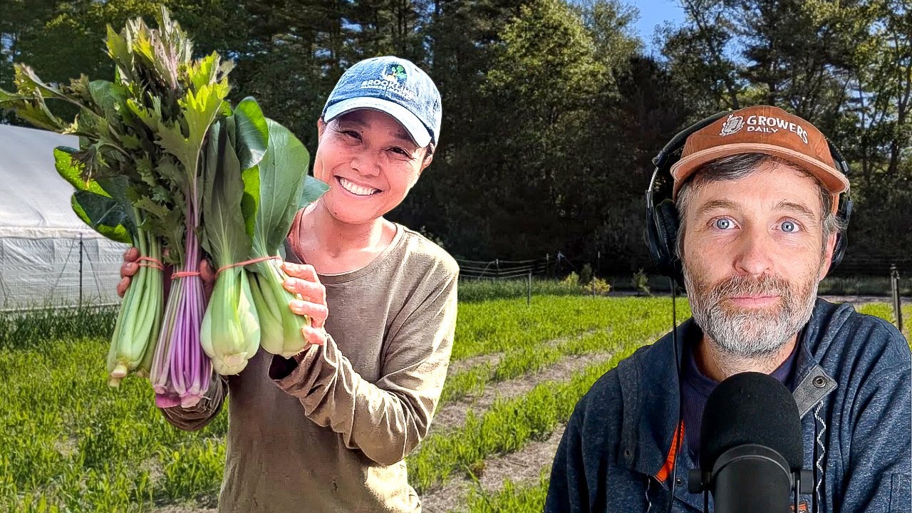 How Farming In Japan Compares to the US + Using Salt Marsh Hay W/ Assawaga Farm