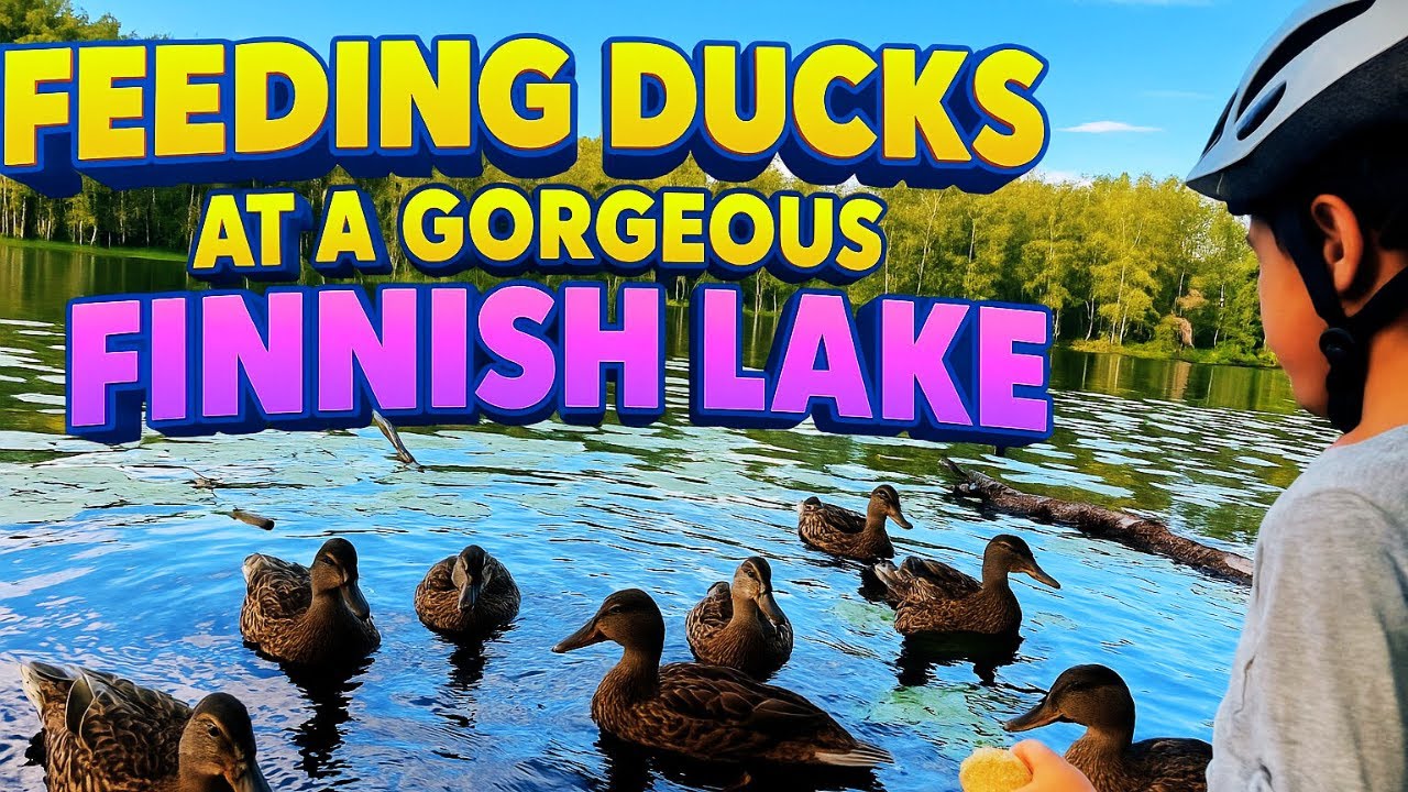 Feeding Ducks 🦆 at a Gorgeous Finnish Lake