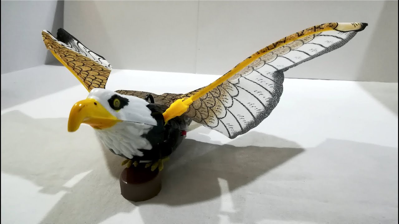 ÁGUILA a Pilas con Sonido y Luces / Vuela anclado