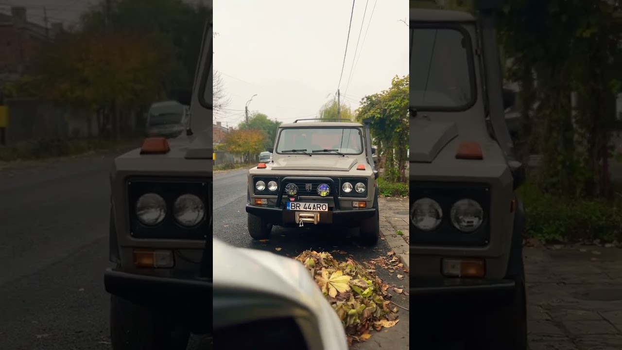 Aro 244