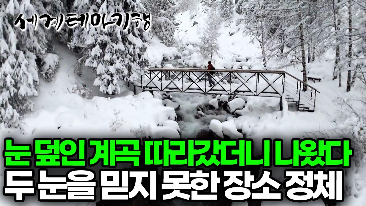 겨울에 여기가 딱이다, 첫눈 온 톈산산맥 계곡을 따라 올라갔더니 나온 상상도 못한 장소| 세계테마기행 | #세테깅