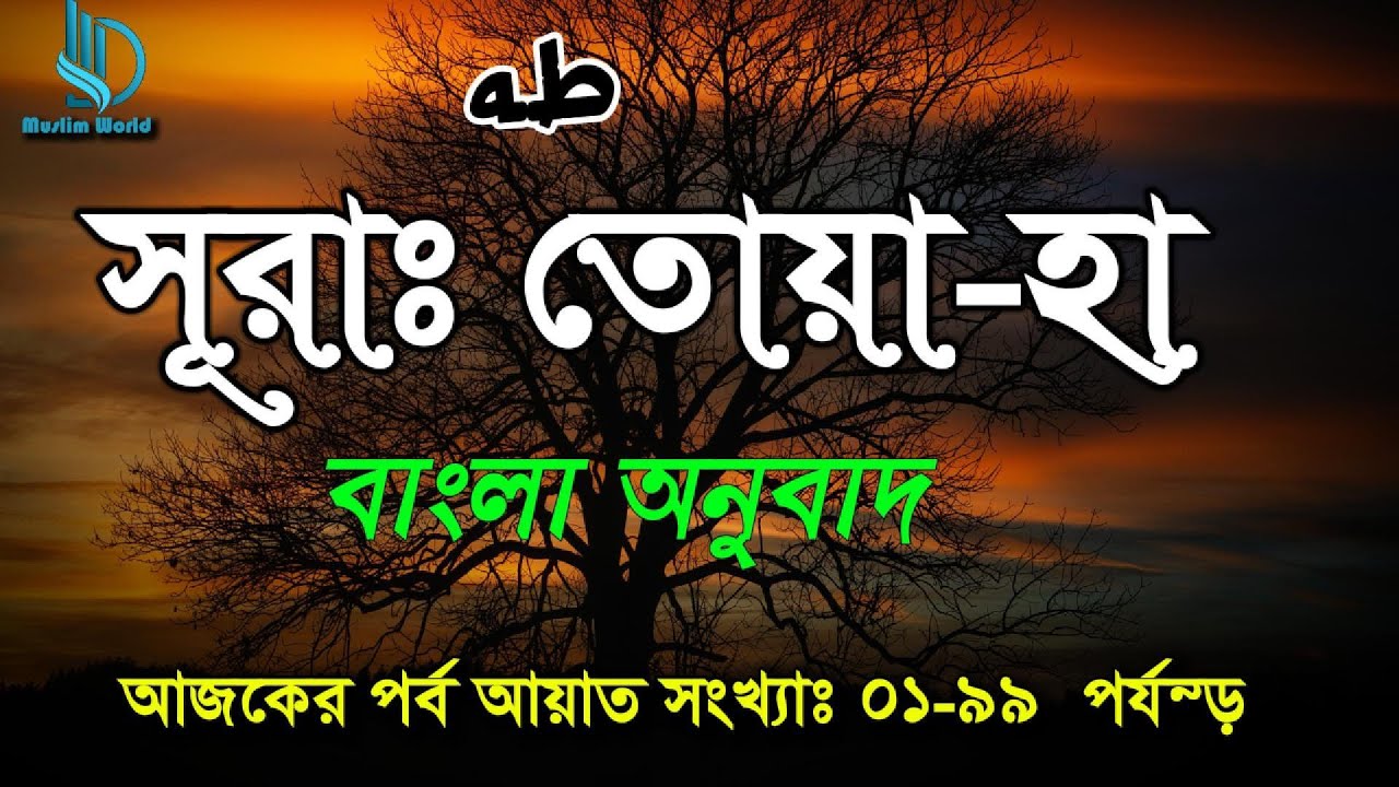 Al Quran_Surah Toya ha bangla_সূরাঃ তোয়া হা, এর সরল বাংলা অনুবাদ@sheikh_masud 