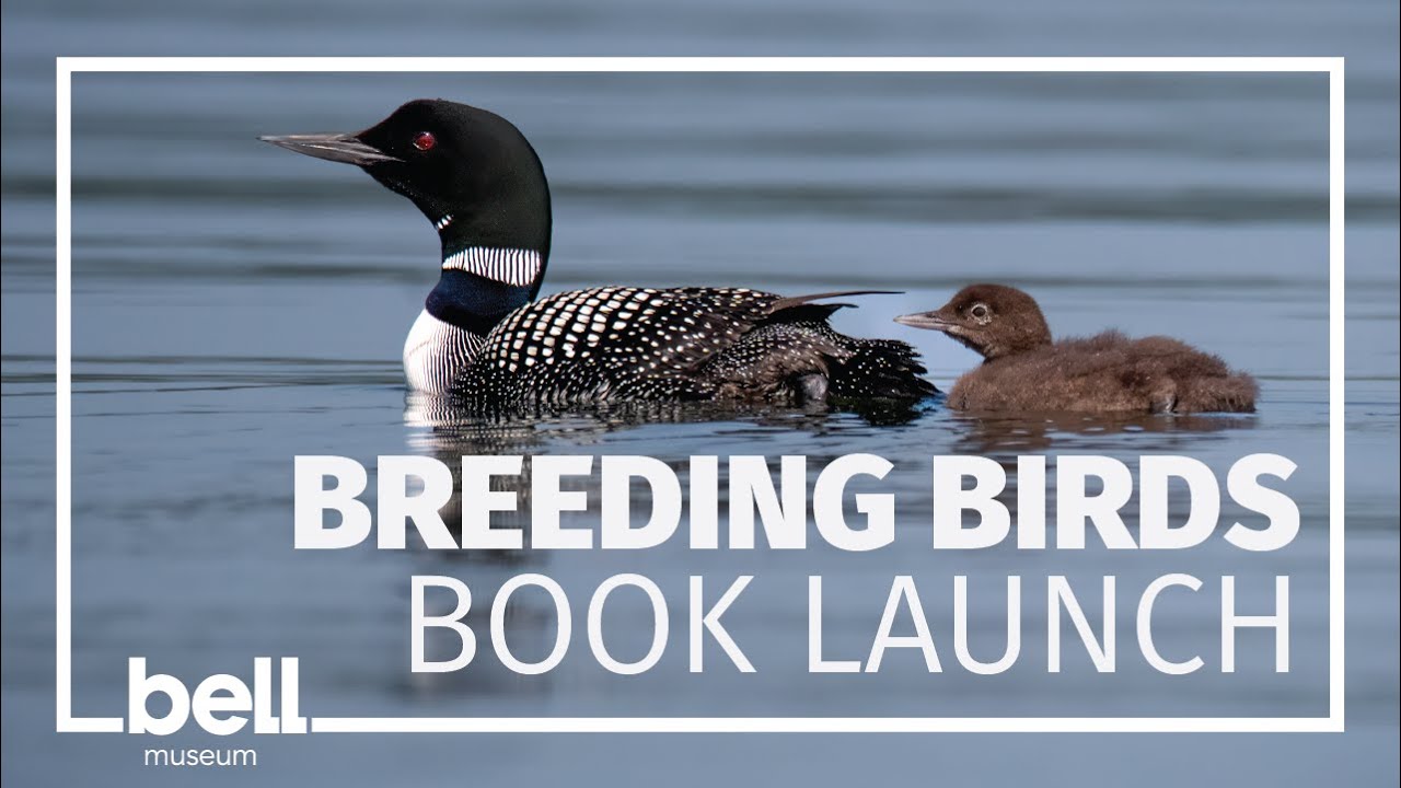 Breeding Birds Book Launch