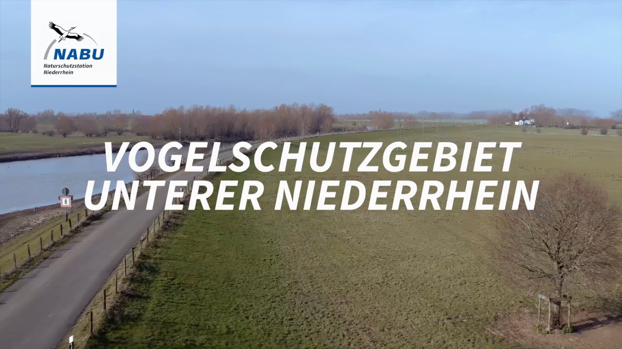 Vogelschutzgebiet Unterer Niederrhein
