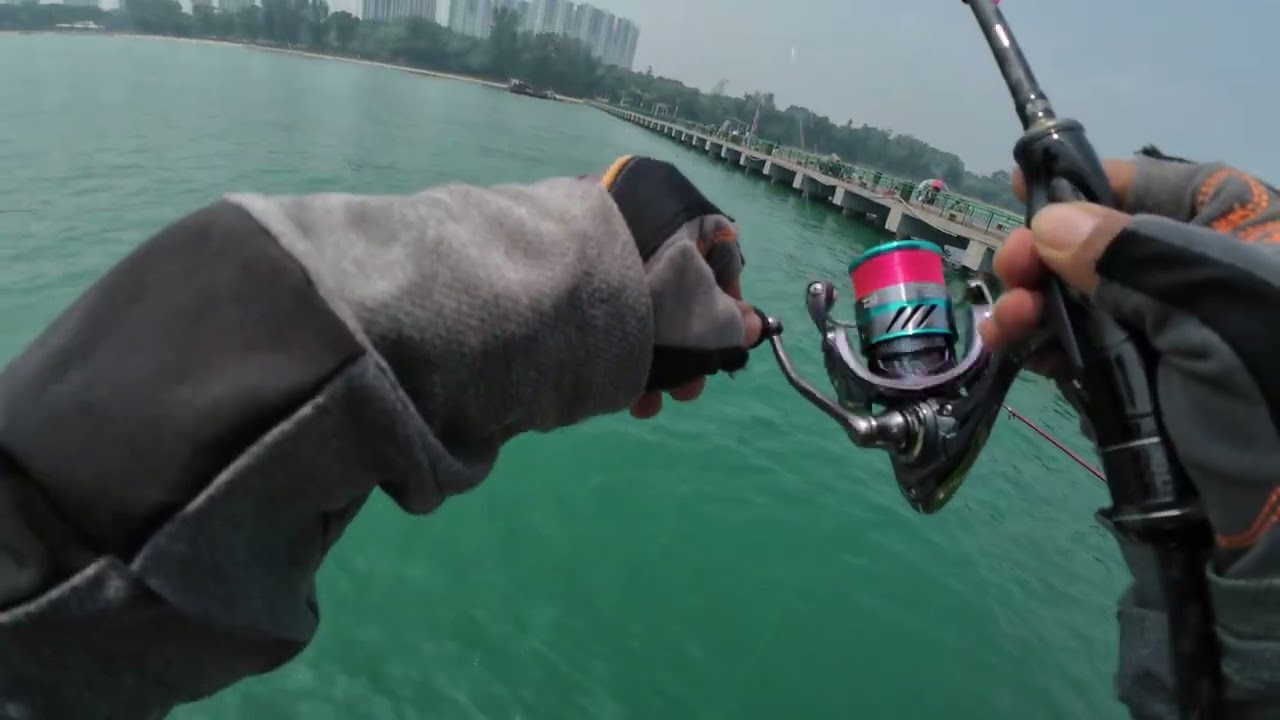 Bedok Jetty Fishing 12:10:2023