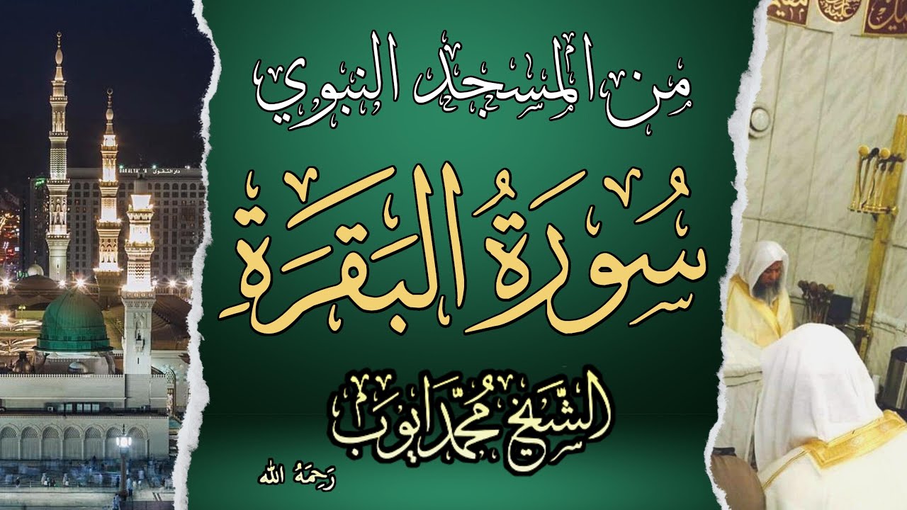 سورة البقرة كاملة من المسجد النبوي بصوت الشيخ محمد أيوب | مع التفسير الموضوعي