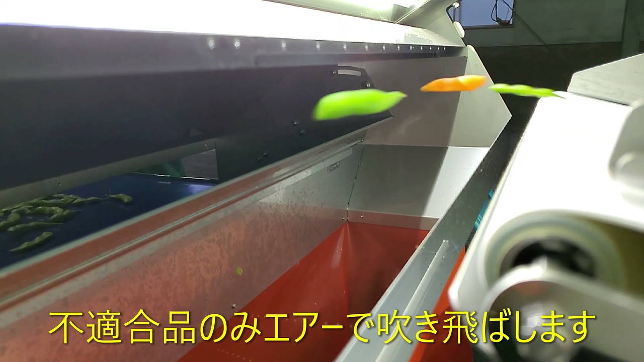 枝豆用色彩選別機PV