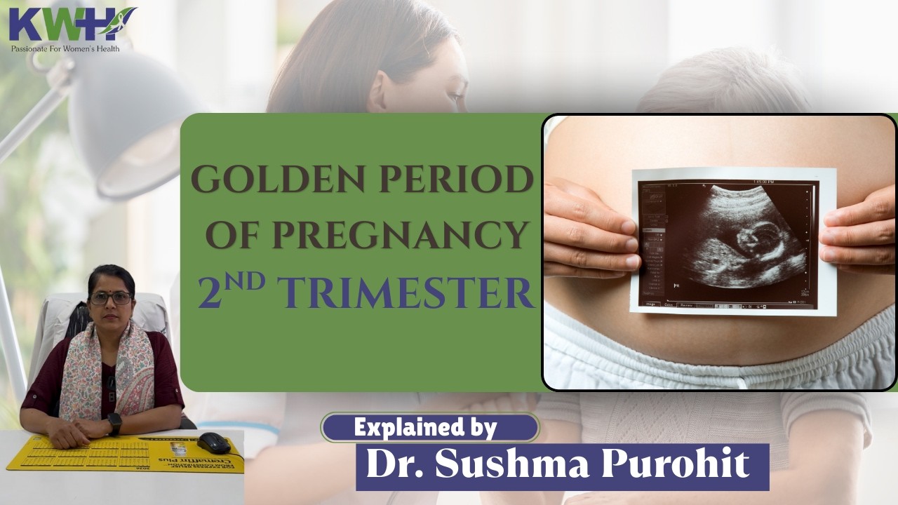 Golden Period Of Pregnancy | 2ND TRIMISTER