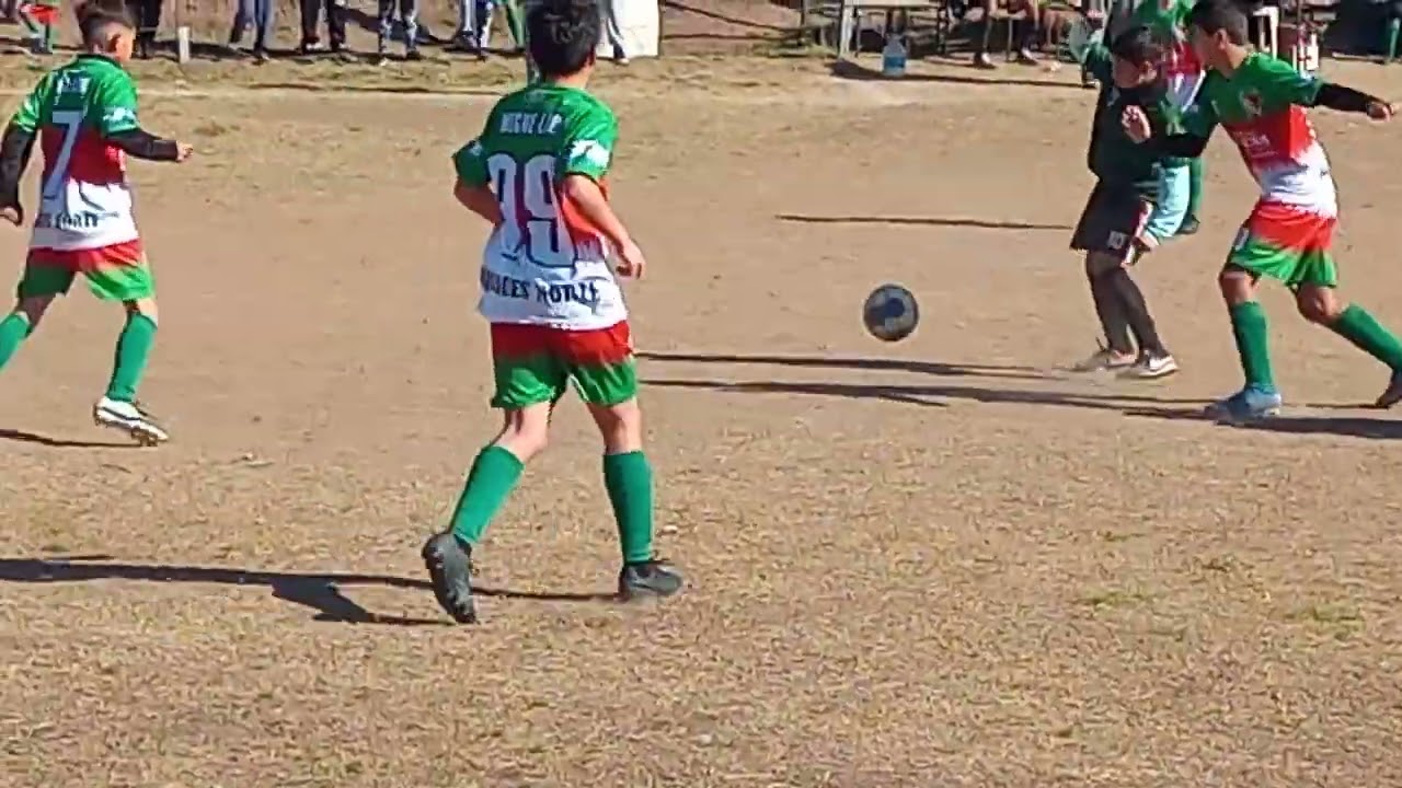 lio r9 (4)