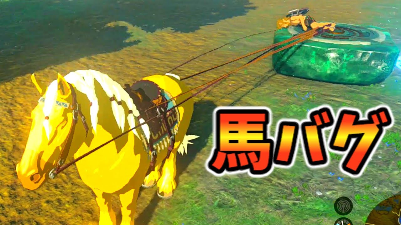 寝ながら馬に乗るとカオス(ver1.0.0)【ティアキン TotK】裏技 バグ 検証 ゆっくり実況 glitch