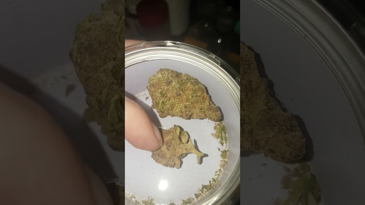 Sativite Dirrag 27%THC Dirty Banana Australian Medical Cannabis Review