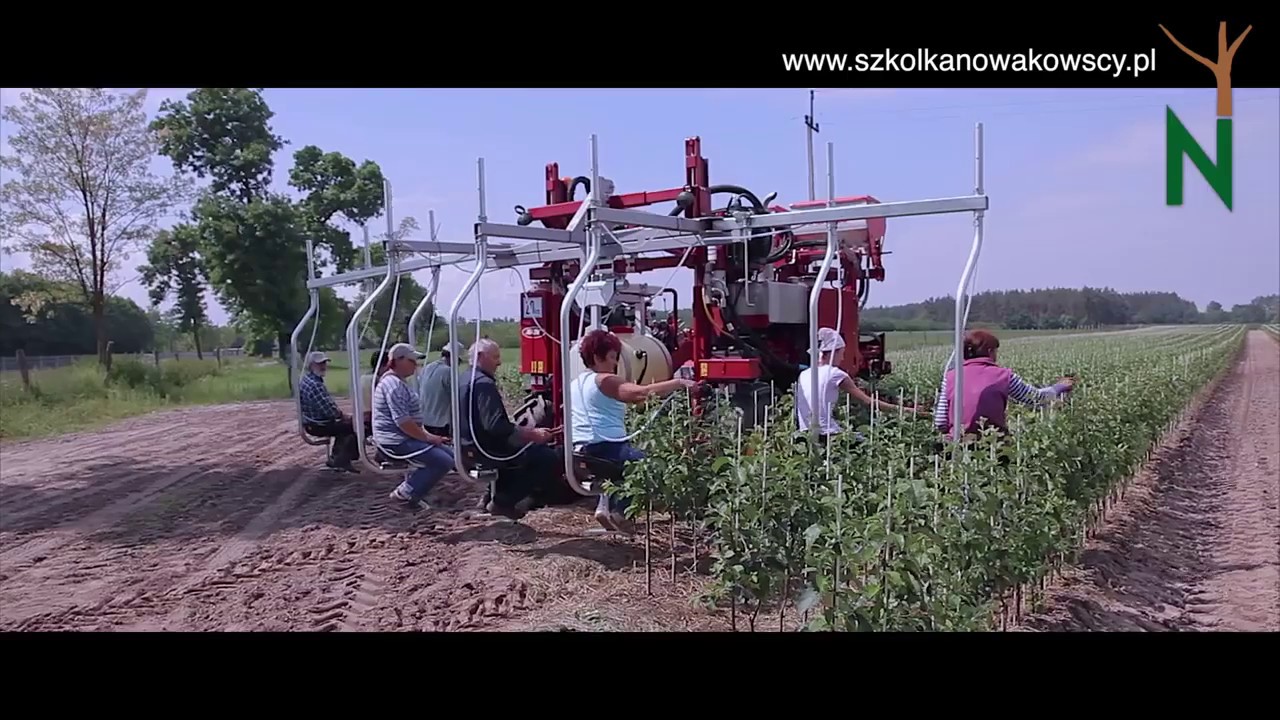 [wiosna / lato w szk&oacute;łce] #szkolkanowakowscy