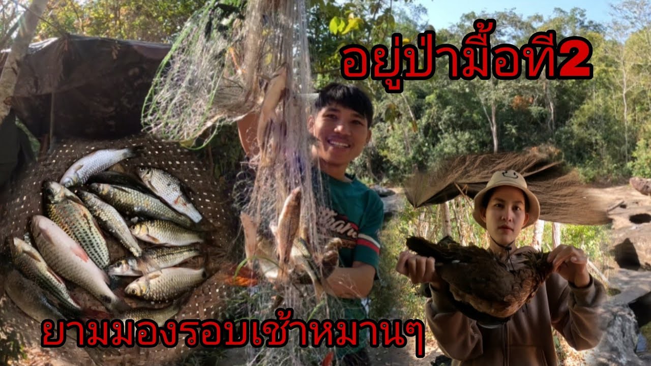 อยู่ป่ามื้อที2หมานๆอีกเเล้ว/ຢູ່ປ່າມື້ທີ່231 มกราคม ค.ศ. 2026