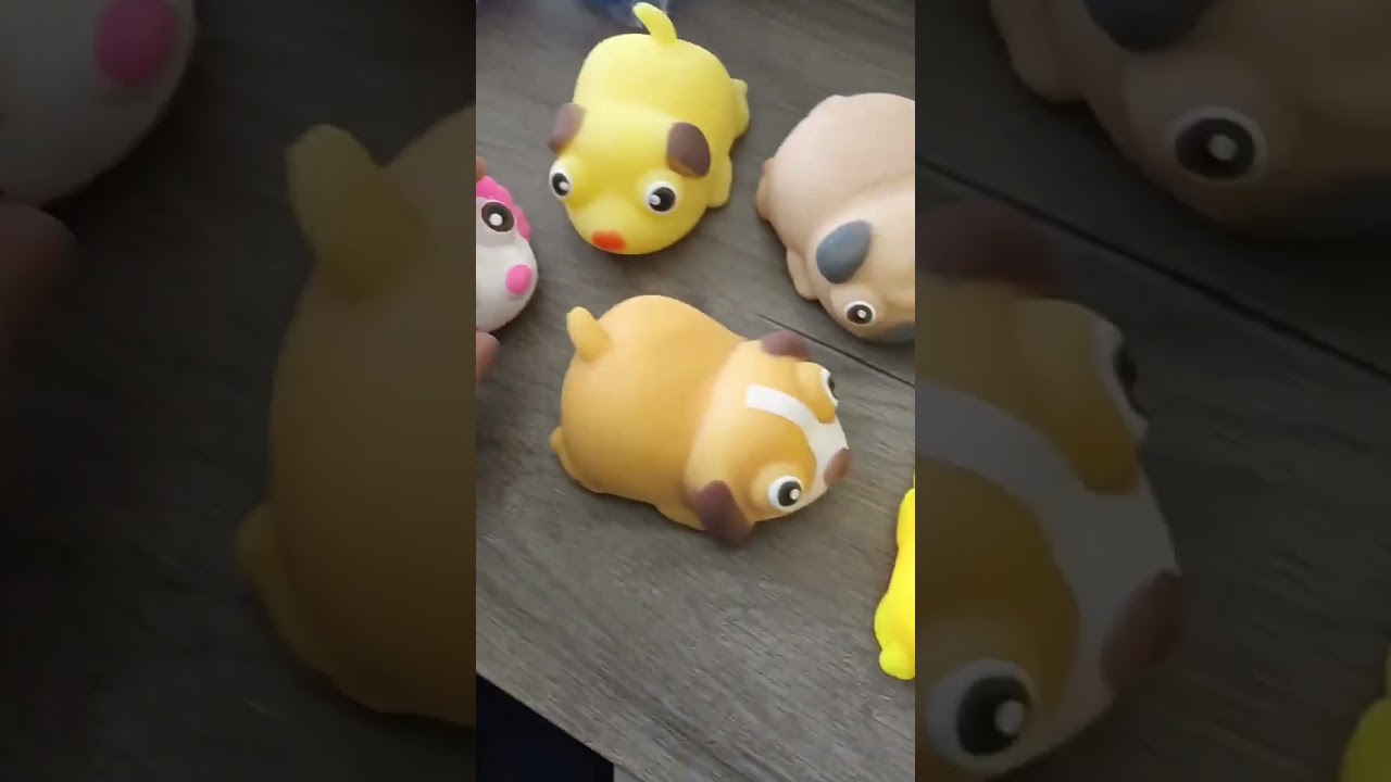 225002 Big Eyed Squishy Puppies #squishytoy #puppytoys #squishytoys #vendingmachinetoys #toys