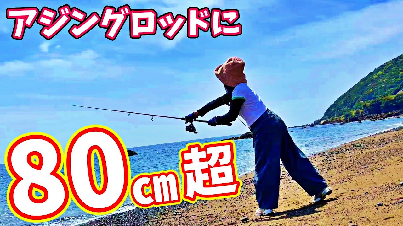 【大パニック】【和歌山】アジングロッドに８０cm超の大物が食らいついた