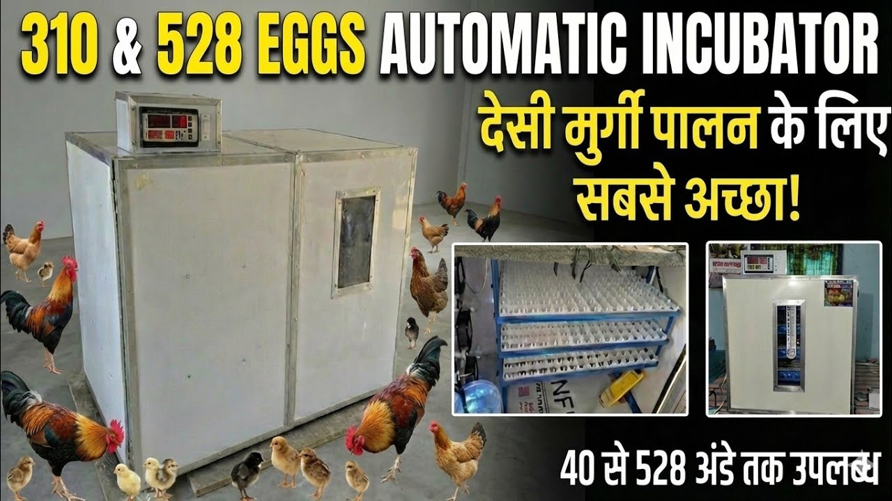 देसी मुर्गी पालन के लिए सबसे अच्छी मशीन! 🐣310 & 528 Eggs Full Automatic Incubator #incubator