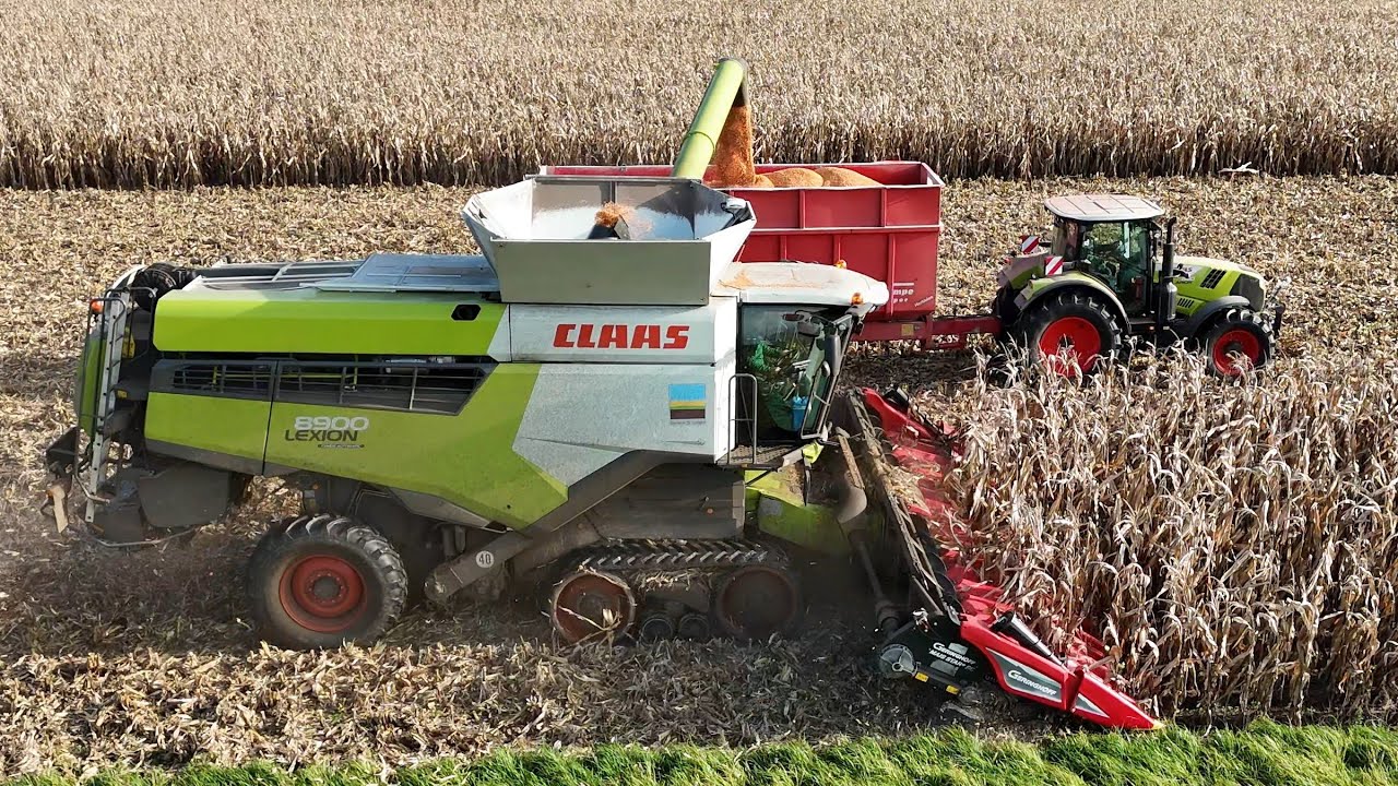 CLAAS LEXION 8900TT уборка кукурузы на зерно / CLAAS ARION 650 / 4K тягач