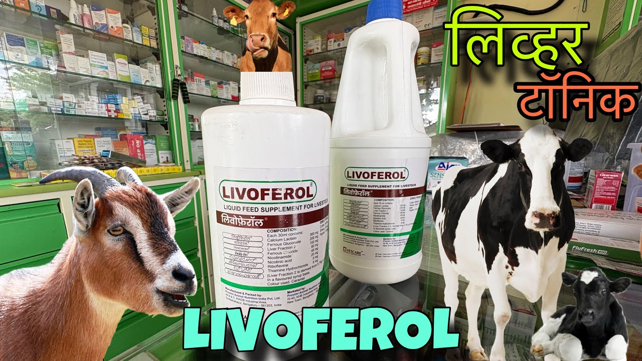 LIVOFEROL LIQUID ||महालक्ष्मी मेडीकल||एक भारी लिव्हर टॉनिक\Liver tonic  ||QUALITY RESULT||वापरून बघा