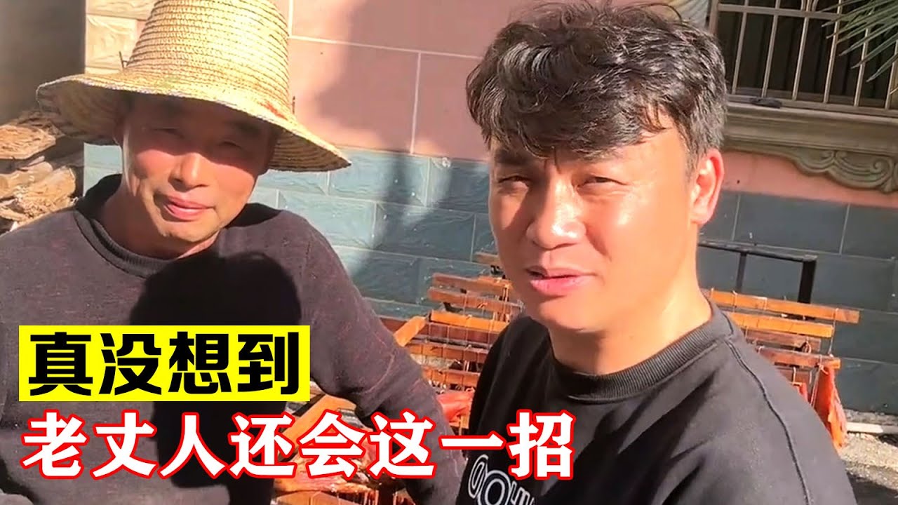 真没想到我老丈人还会这一招【海派大龙】#海派大龙 #三农 #相亲  #shorts