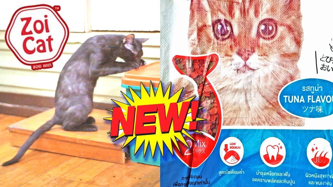 Review of Zoi Cat Food Tuna Flavor (Low Sodium Diet For Cats)