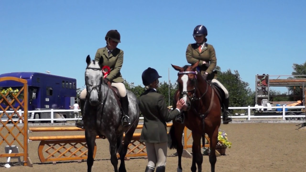 BSHA Working Show Horse Qualifier 2018