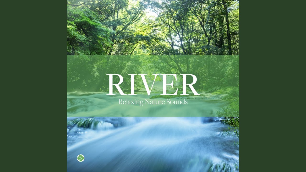 川の音（自然音）