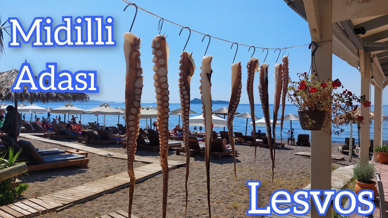 Midilli Adası🏝 Lesvos Gezilecek yerler Petra,Molivos,Anaxos,Sykaminia,Plomari.Ne yapılır ne yenilir